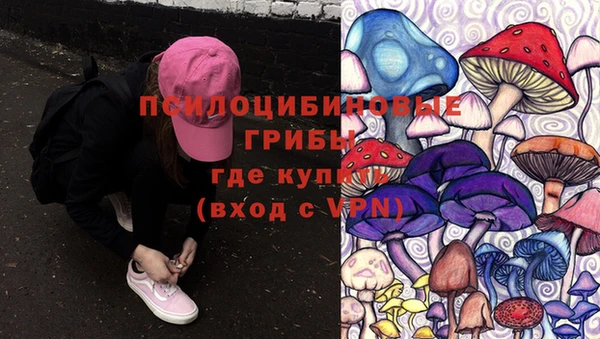 мескалин Тутаев