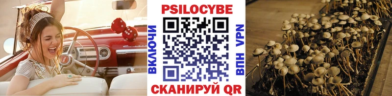 Галлюциногенные грибы GOLDEN TEACHER  Купить  Южно-Сухокумск 